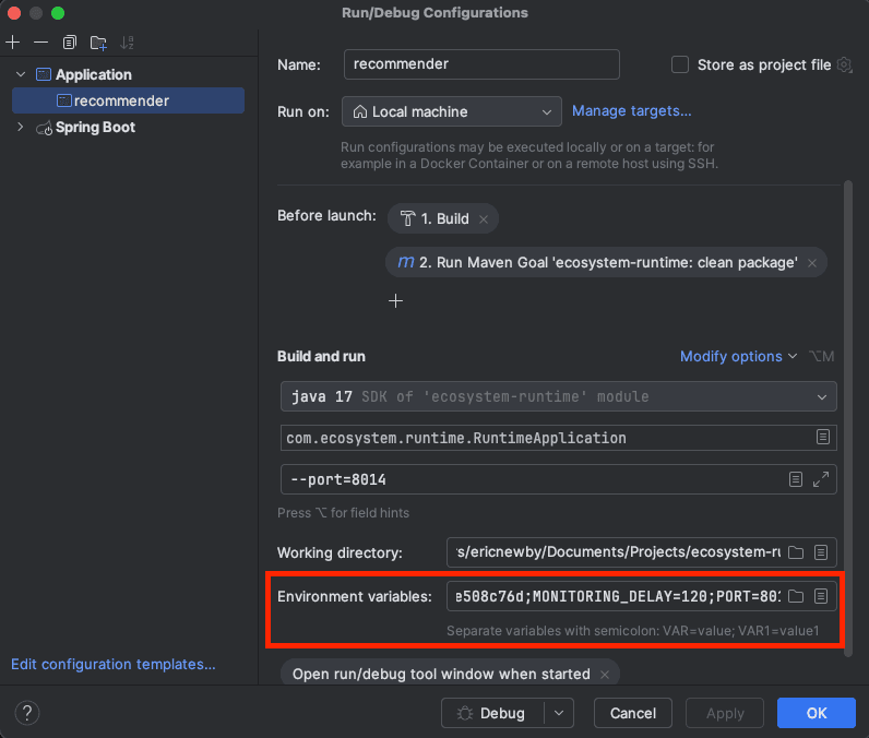 IntelliJ Environment Variables